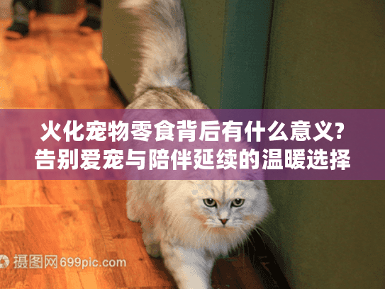 火化宠物零食背后有什么意义?告别爱宠与陪伴延续的温暖选择