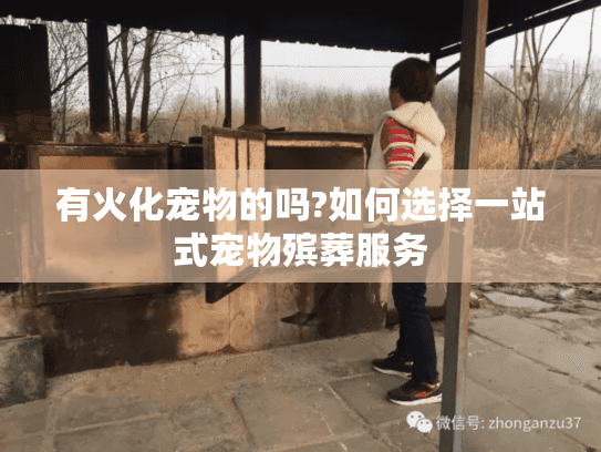 有火化宠物的吗?如何选择一站式宠物殡葬服务