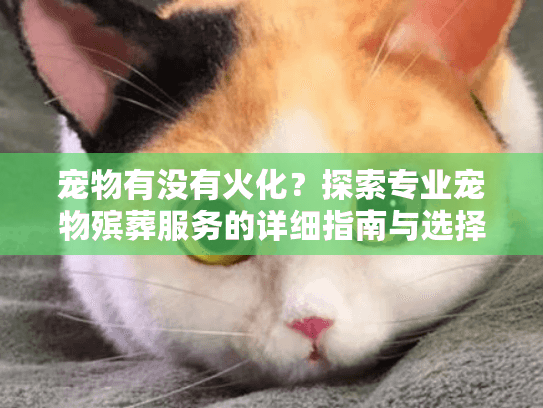 宠物有没有火化？探索专业宠物殡葬服务的详细指南与选择建议