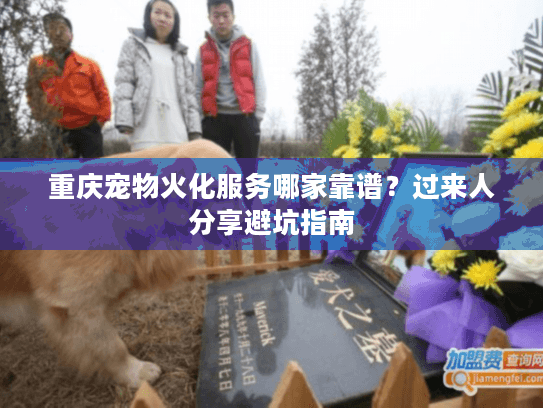 重庆宠物火化服务哪家靠谱？过来人分享避坑指南