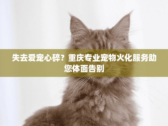 失去爱宠心碎？重庆专业宠物火化服务助您体面告别