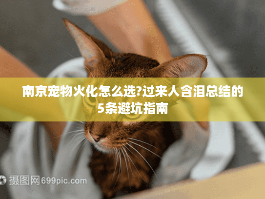 南京宠物火化怎么选?过来人含泪总结的5条避坑指南