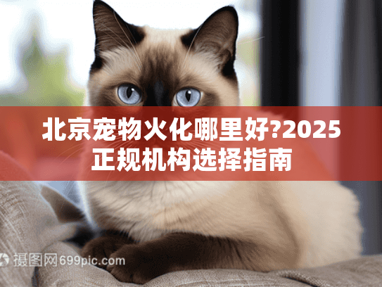 北京宠物火化哪里好?2025正规机构选择指南