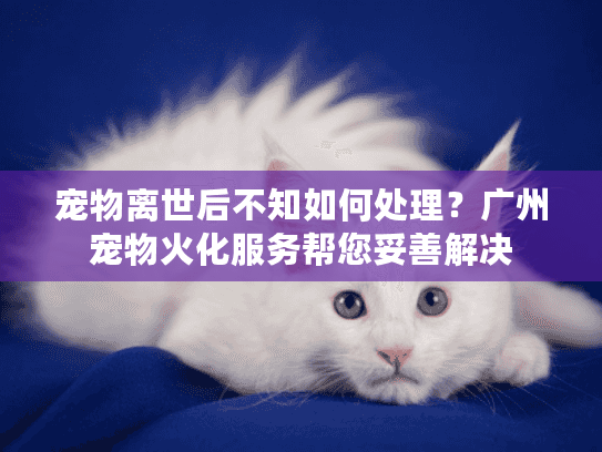宠物离世后不知如何处理？广州宠物火化服务帮您妥善解决