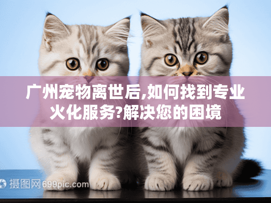 广州宠物离世后,如何找到专业火化服务?解决您的困境