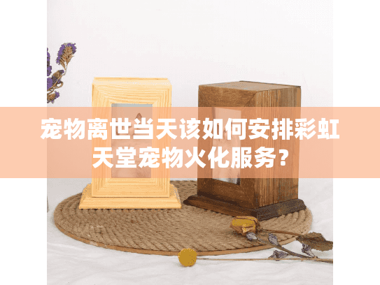 宠物离世当天该如何安排彩虹天堂宠物火化服务？