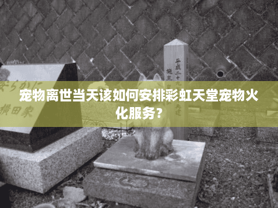 宠物离世当天该如何安排彩虹天堂宠物火化服务？