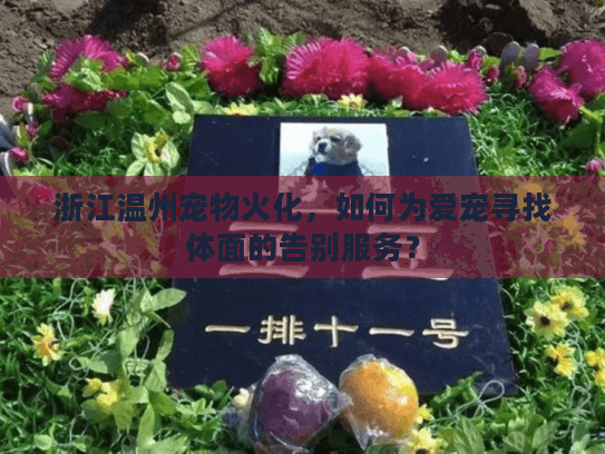 浙江温州宠物火化，如何为爱宠寻找体面的告别服务？