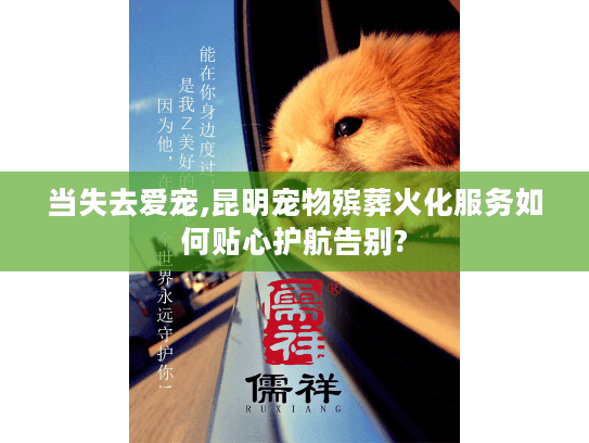 当失去爱宠,昆明宠物殡葬火化服务如何贴心护航告别?