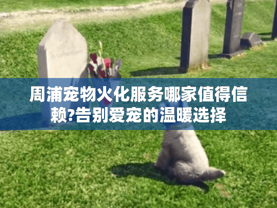 周浦宠物火化服务哪家值得信赖?告别爱宠的温暖选择
