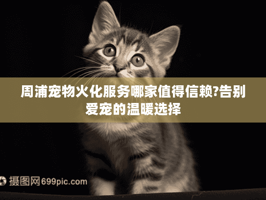 周浦宠物火化服务哪家值得信赖?告别爱宠的温暖选择