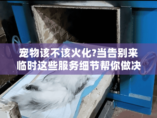宠物该不该火化?当告别来临时这些服务细节帮你做决定