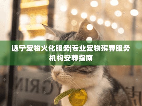 遂宁宠物火化服务|专业宠物殡葬服务机构安葬指南 遂宁宠物火化服务|专业宠物殡葬服务机构安葬指南
