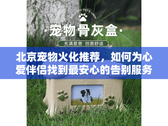 北京宠物火化推荐，如何为心爱伴侣找到最安心的告别服务？