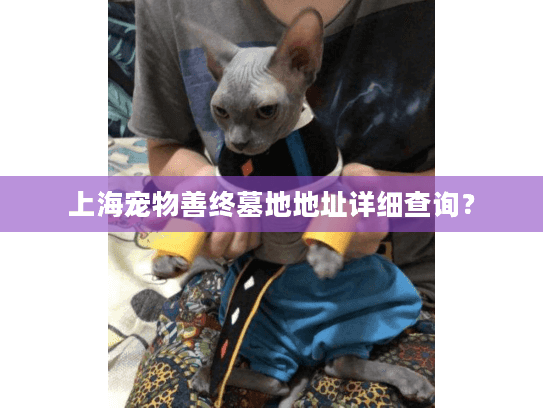 上海宠物善终墓地地址详细查询？