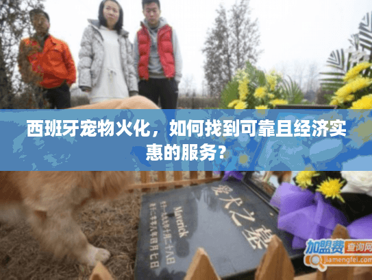 西班牙宠物火化，如何找到可靠且经济实惠的服务？