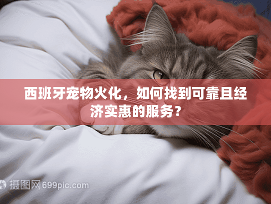西班牙宠物火化，如何找到可靠且经济实惠的服务？