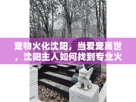 宠物火化沈阳，当爱宠离世，沈阳主人如何找到专业火化服务？