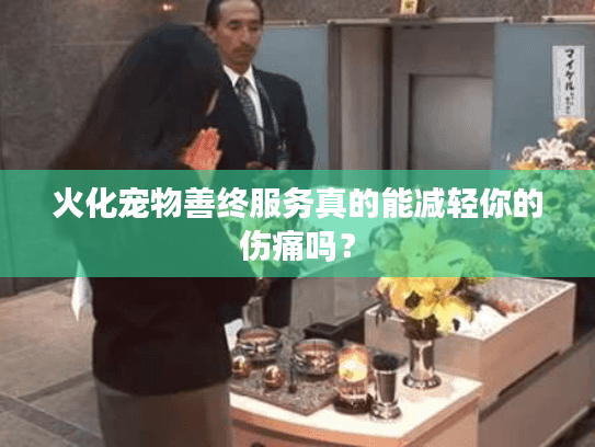 火化宠物善终服务真的能减轻你的伤痛吗？