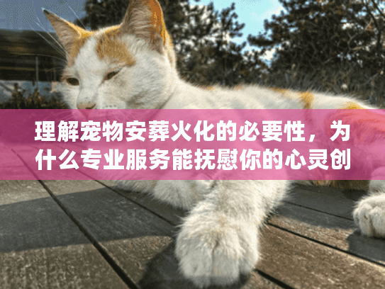 理解宠物安葬火化的必要性，为什么专业服务能抚慰你的心灵创伤？