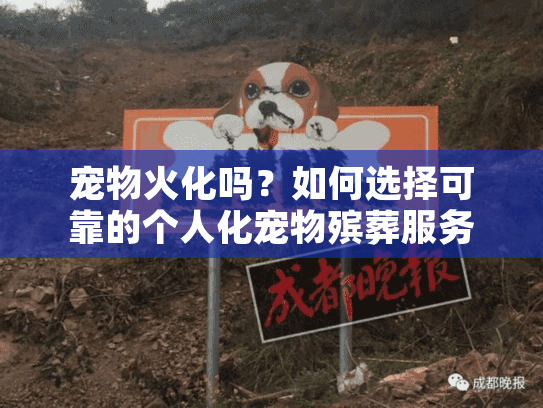 宠物火化吗？如何选择可靠的个人化宠物殡葬服务？