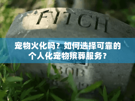 宠物火化吗？如何选择可靠的个人化宠物殡葬服务？