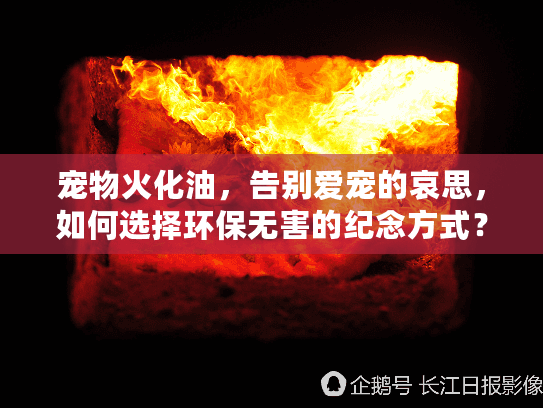 宠物火化油，告别爱宠的哀思，如何选择环保无害的纪念方式？