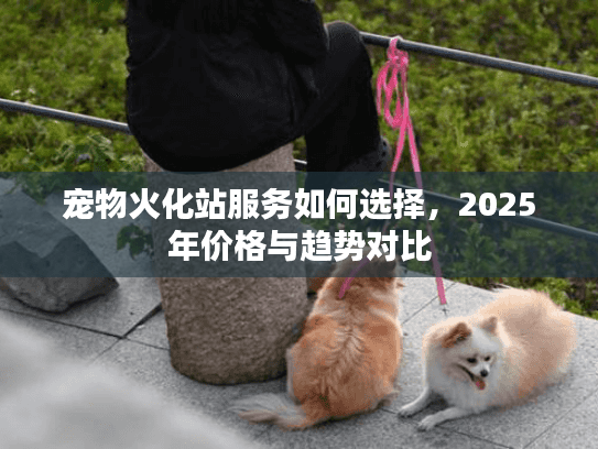 宠物火化站服务如何选择，2025年价格与趋势对比