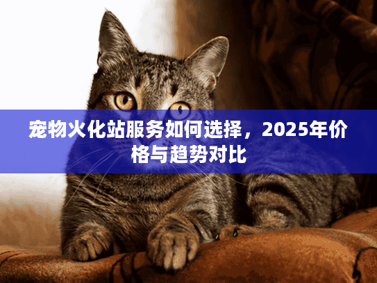 宠物火化站服务如何选择，2025年价格与趋势对比