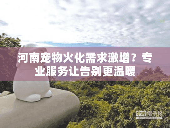 河南宠物火化需求激增？专业服务让告别更温暖
