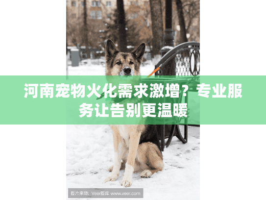 河南宠物火化需求激增？专业服务让告别更温暖