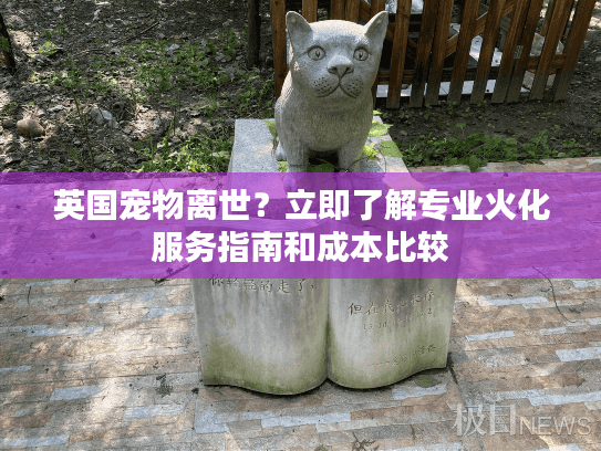 英国宠物离世？立即了解专业火化服务指南和成本比较