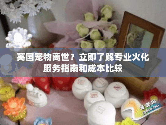 英国宠物离世？立即了解专业火化服务指南和成本比较