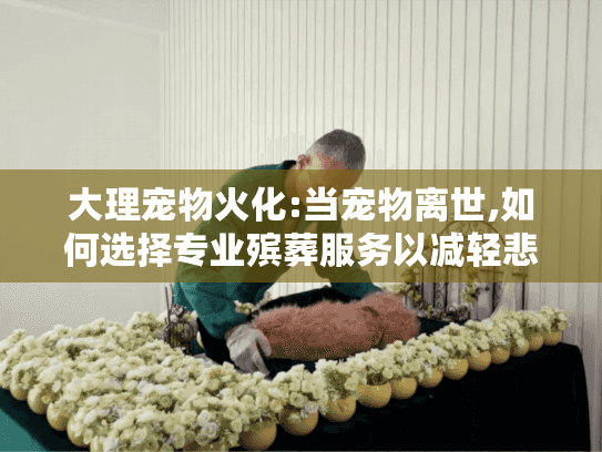 大理宠物火化:当宠物离世,如何选择专业殡葬服务以减轻悲痛?