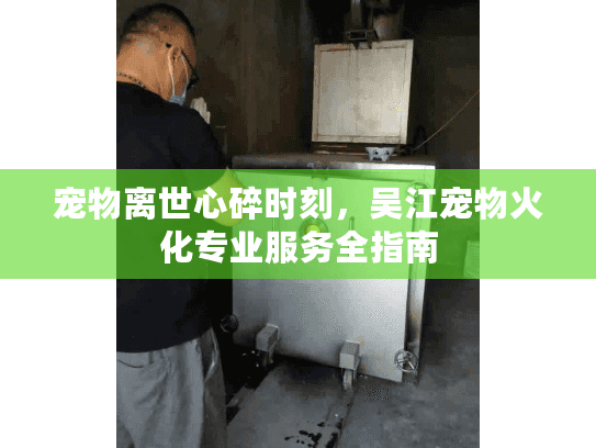 宠物离世心碎时刻，吴江宠物火化专业服务全指南