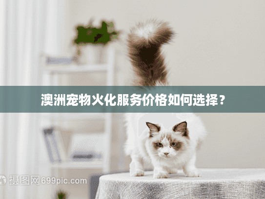澳洲宠物火化服务价格如何选择？