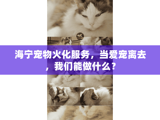 海宁宠物火化服务,当爱宠离去,我们能做什么? 海宁宠物火化服务,当爱宠离去,我们能做什么?
