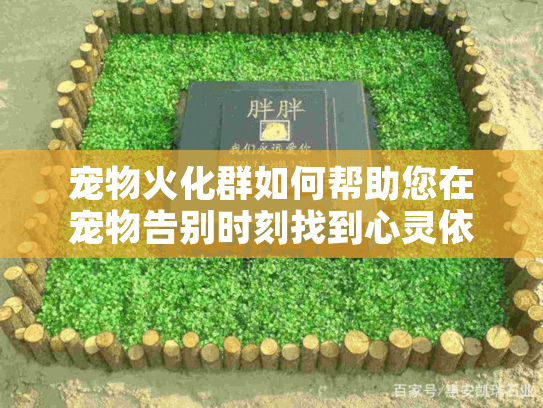 宠物火化群如何帮助您在宠物告别时刻找到心灵依靠？