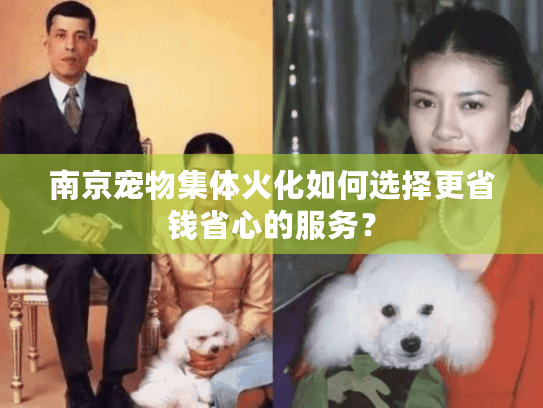 南京宠物集体火化如何选择更省钱省心的服务？