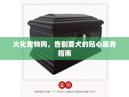 火化宠物狗，告别爱犬的贴心服务指南