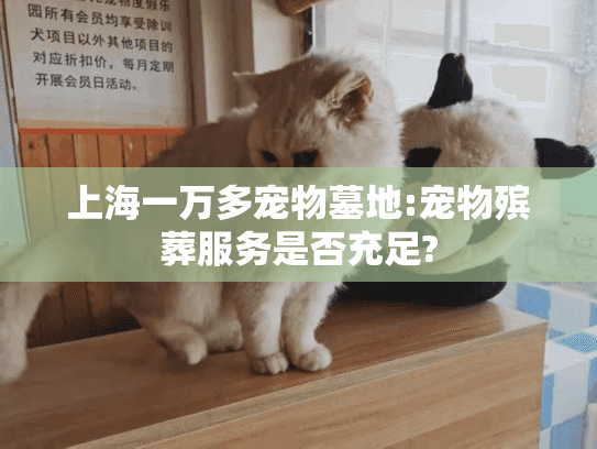 上海一万多宠物墓地:宠物殡葬服务是否充足?
