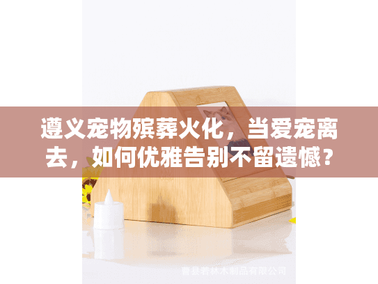 遵义宠物殡葬火化，当爱宠离去，如何优雅告别不留遗憾？