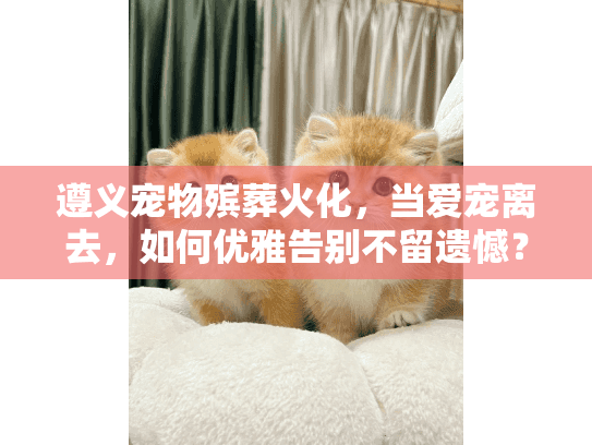 遵义宠物殡葬火化，当爱宠离去，如何优雅告别不留遗憾？