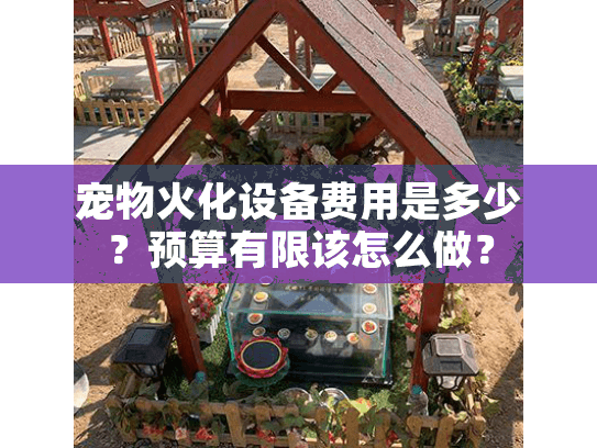 宠物火化设备费用是多少？预算有限该怎么做？
