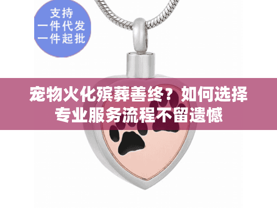 宠物火化殡葬善终？如何选择专业服务流程不留遗憾