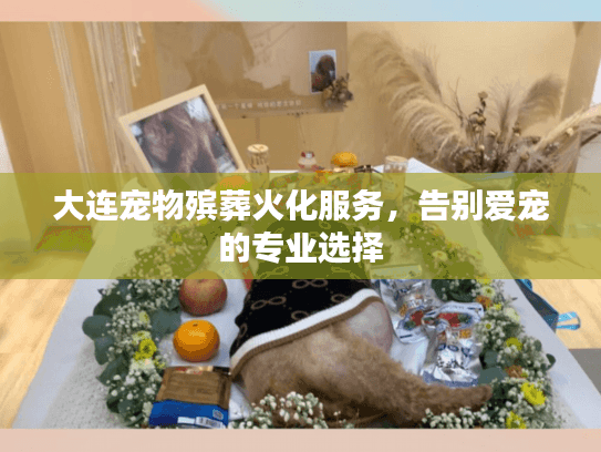 大连宠物殡葬火化服务，告别爱宠的专业选择