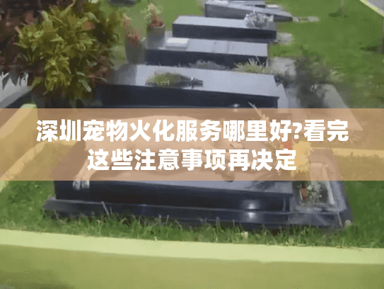 深圳宠物火化服务哪里好?看完这些注意事项再决定