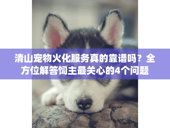 清山宠物火化服务真的靠谱吗？全方位解答饲主最关心的4个问题