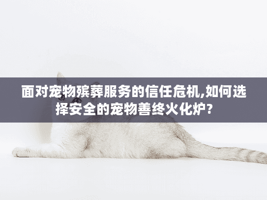 面对宠物殡葬服务的信任危机,如何选择安全的宠物善终火化炉?