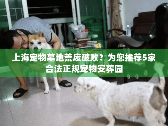 上海宠物墓地荒废破败？为您推荐5家合法正规宠物安葬园
